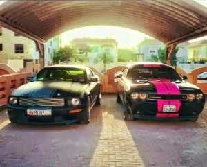 سيارات دنيا بطمة